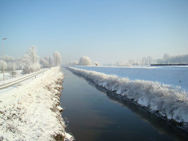 schulensmeer