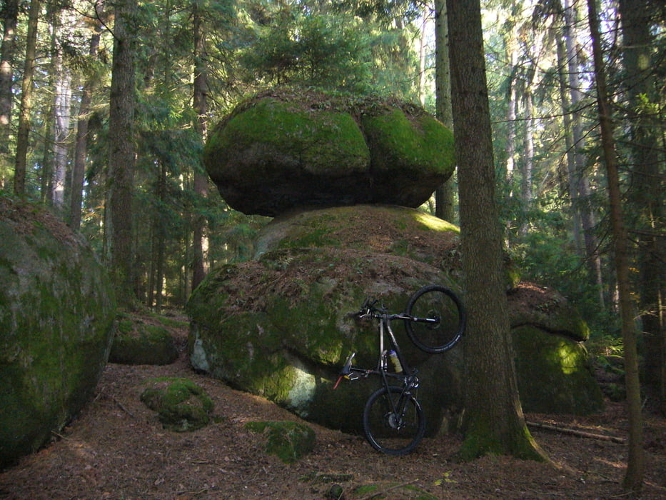 Schwammerlstein-Hagenholz-Längseigen-Koppenberg