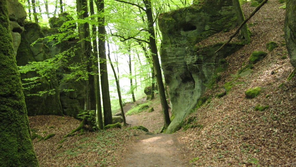 Echternach-Berdorf-Bollendorf-Pont