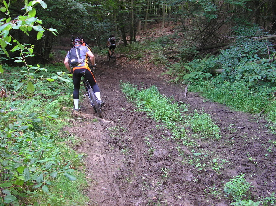 Trails rund um Saarwellingen