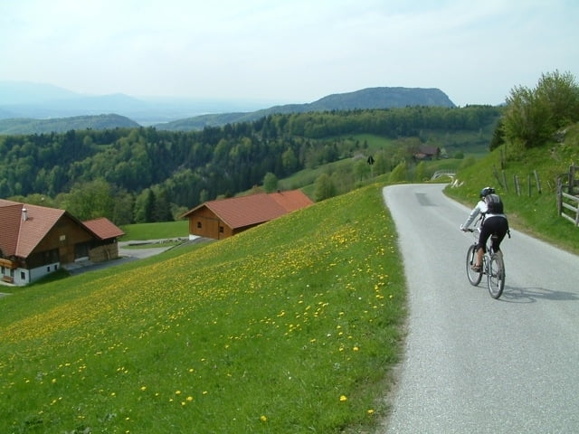 Schlenken-Schlenker