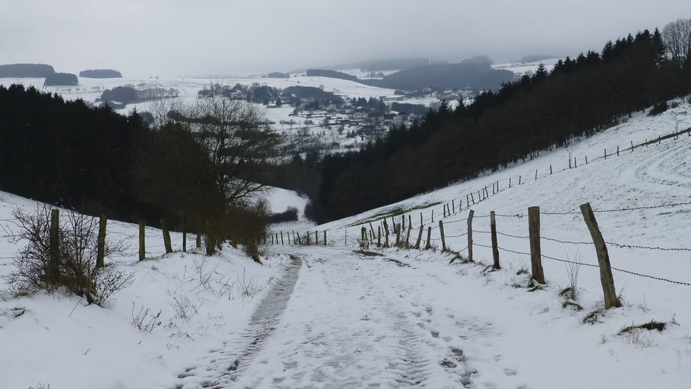 141231 Burgsteig Wildenburg - Reiferscheid