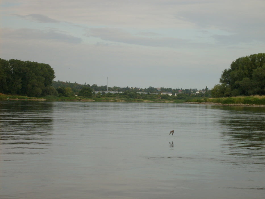 Paddeln auf der Elbe 