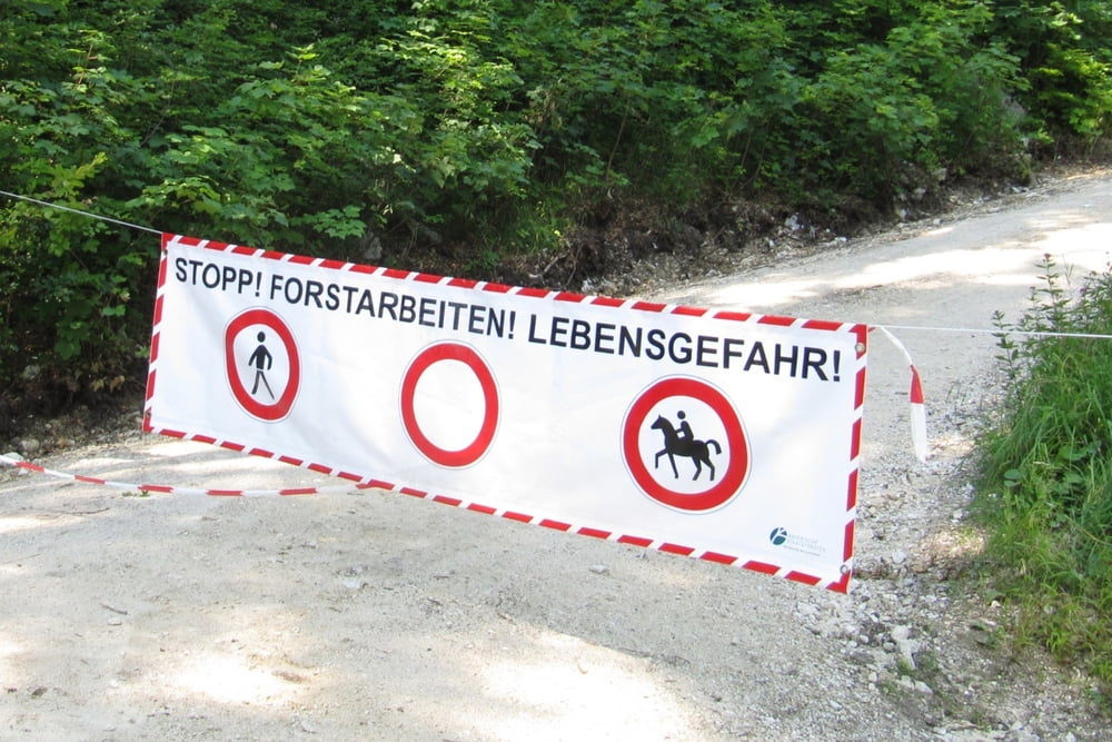 Rundtour Teisenberg 1333m von der Haustüre weg