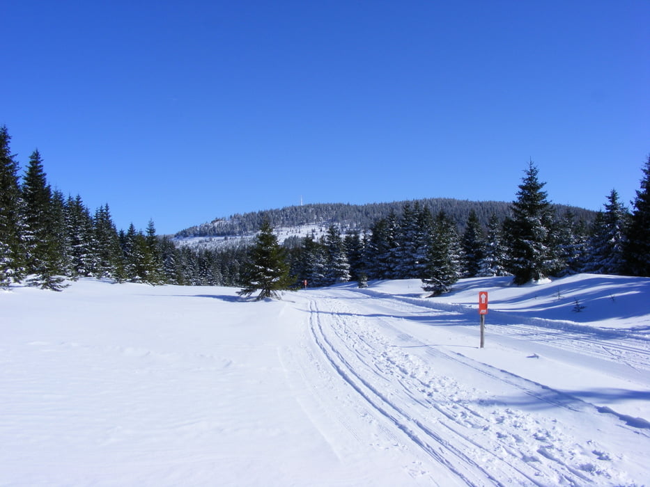 X-country skiing Harz  Oderbrueck - Torfhaus - Oderteich - Oderbrueck