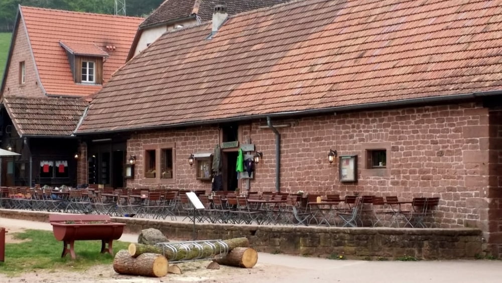 Pfälzer Rundwanderung mit Einkehr - Bärenbrunnerhof 