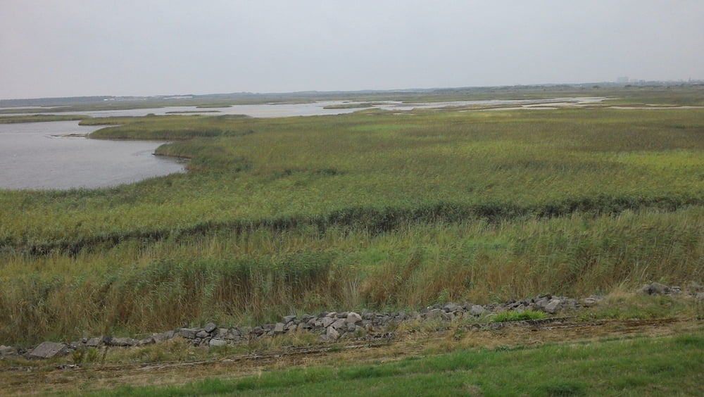 Sightseeing Wanderung Sylt