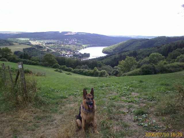 Liefrange