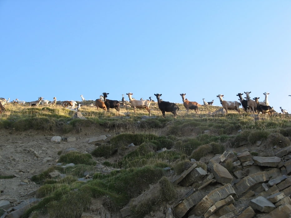 Monte Perdido
