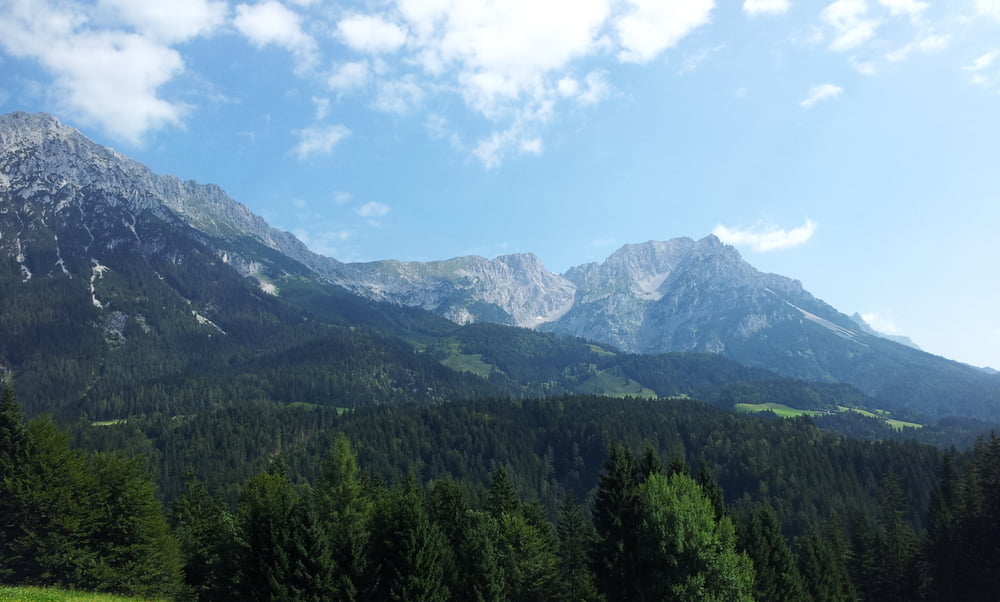 Walleralm