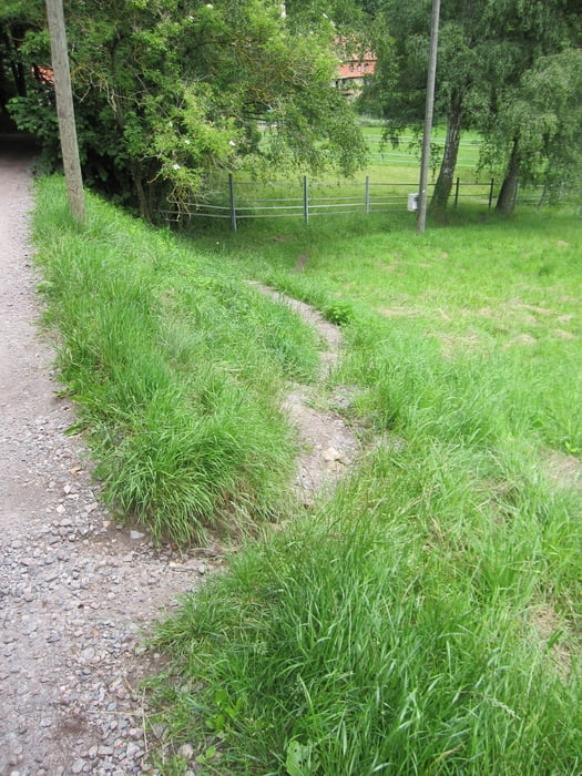 von Gleisweiler zur Landauerhütte