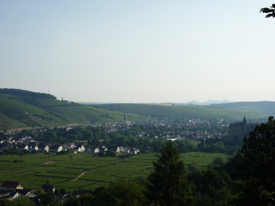 Walporzheim-Staffel-Steinerberghaus-Walporzheim