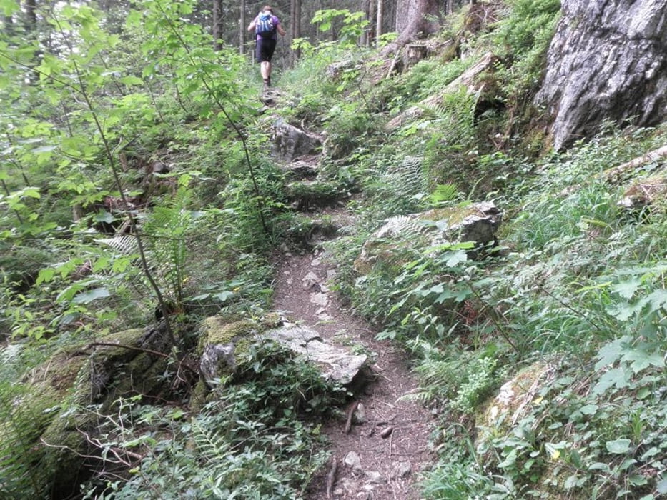Auf die Gedererwand 1399m