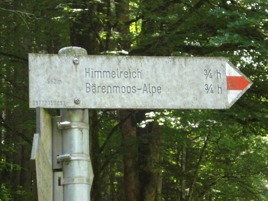 Bärenmosalpe -Vilstal