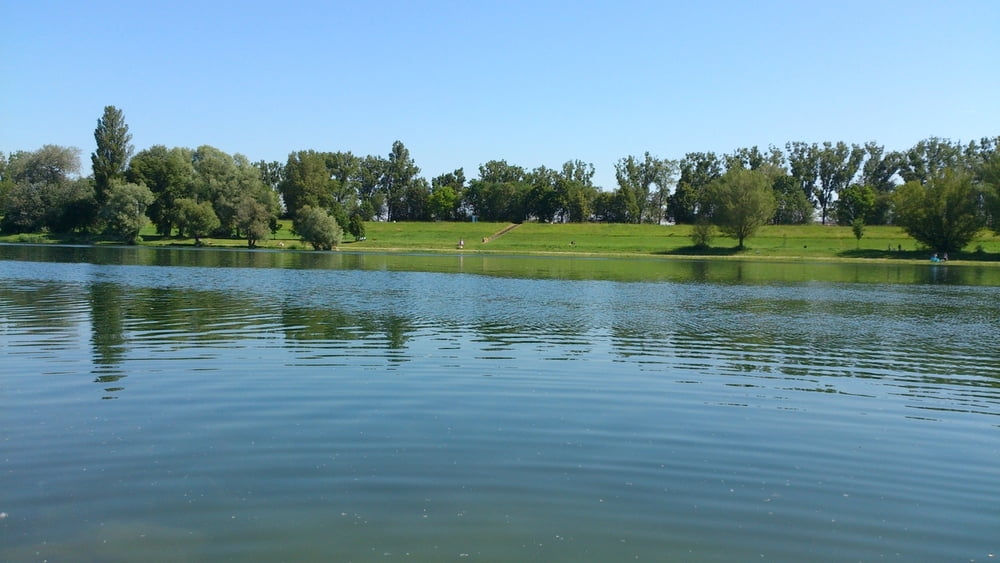 Donauinsel