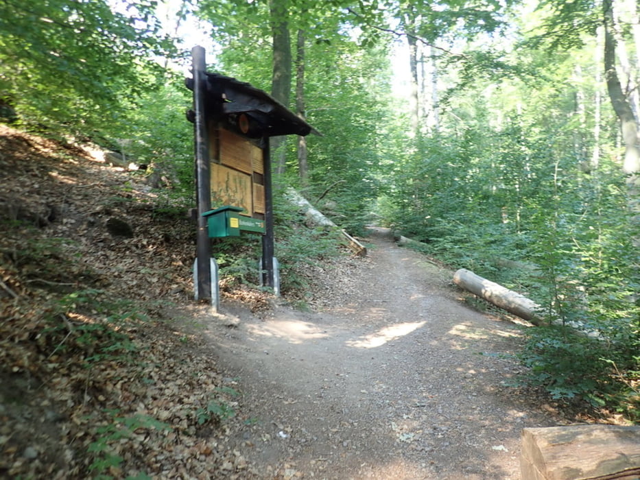 Ilsenburg - Taubenklippe - Scharfenstein - Ilsetal