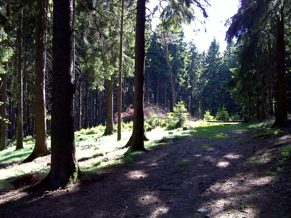 Freidaach.de-Tour_100604