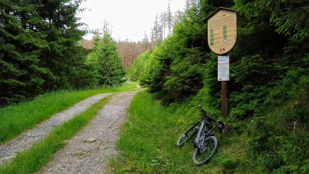 Zellerfeld-Herzberg-Lonau-Auf dem Acker-Sösewehr-Zellerfeld