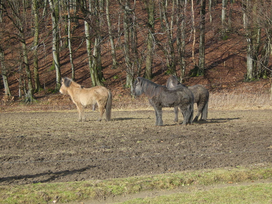 Wunderschönes Lipperland (Rund um Bad Seebruch u. Senkelteich)
