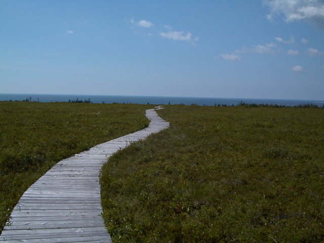 Kejimkujik Boyds Cove Trail