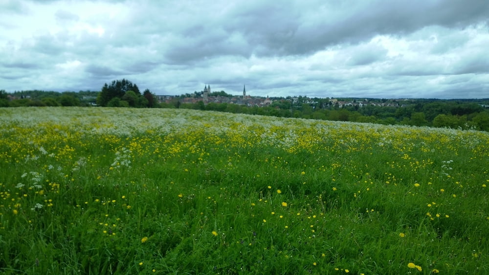 Jahrgang 61 Dietingen