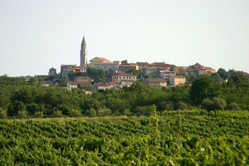 Lanterna-Bacva-Visnjan-Kastelir-Lanterna