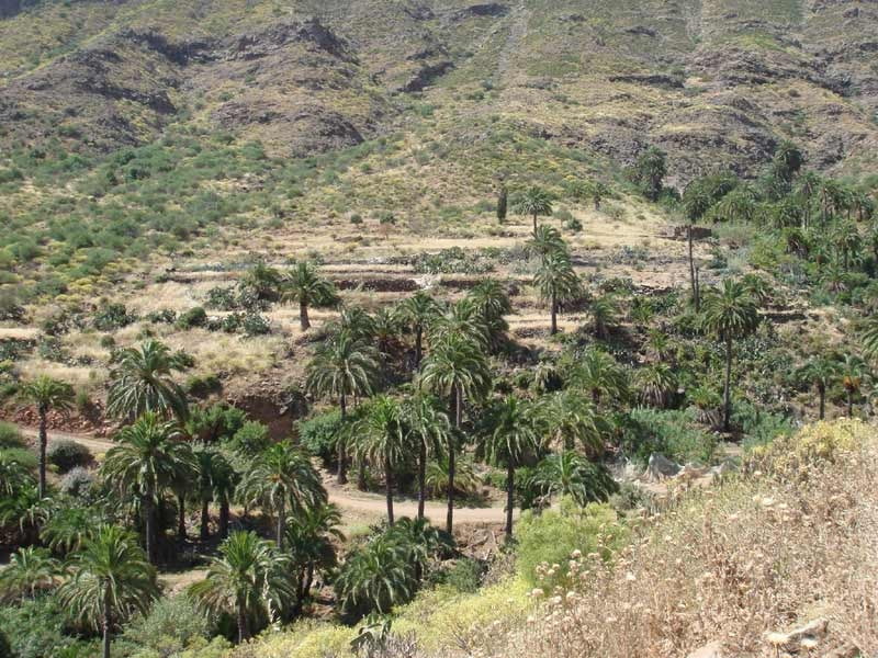Santa Lucia