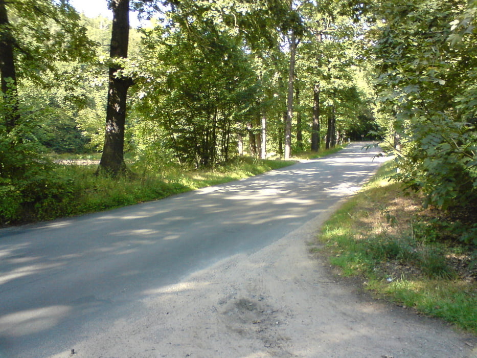 Am Spitzgrundteich Coswig vorbei