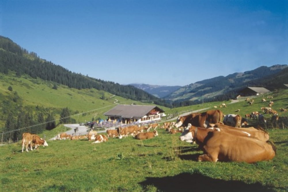 Niederau-Kelchsau-Siedljoch-Auffach-Oberau-Niederau
