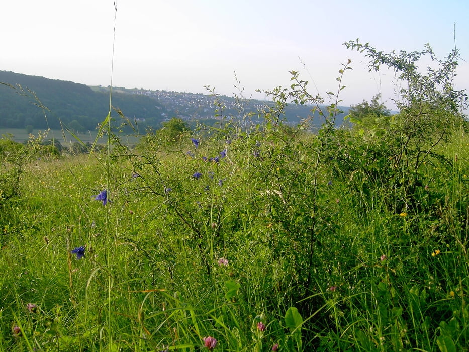 Höhenmeter am Tannenberg sammeln