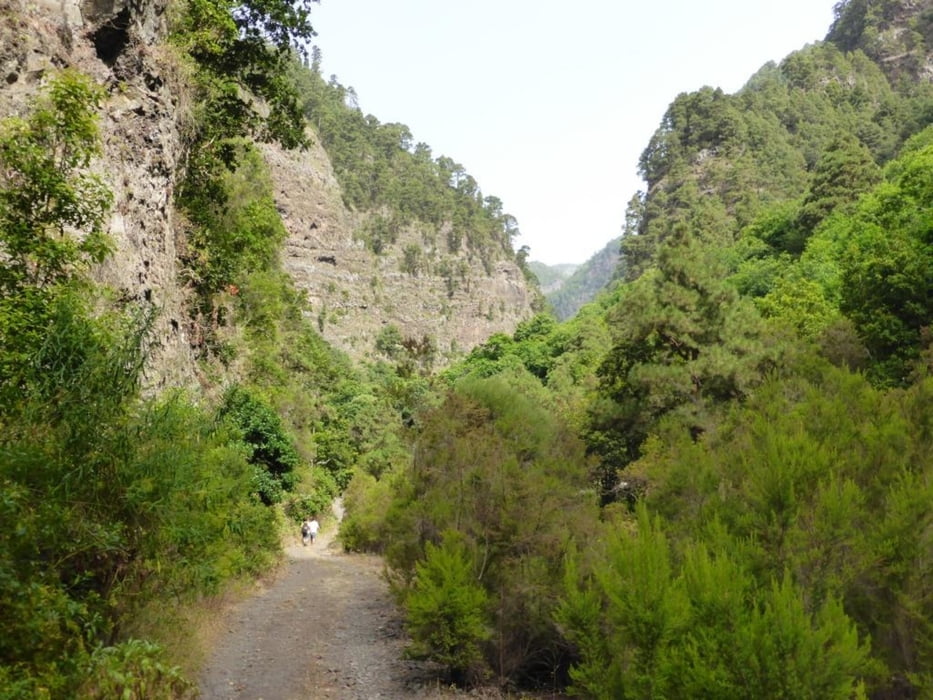Durch den Barranco de la Madera
