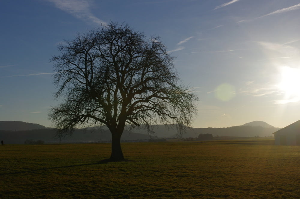 rund um das Bruckholz