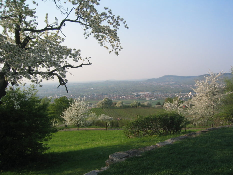 kleine Schurwald/Remstal-Rundfahrt