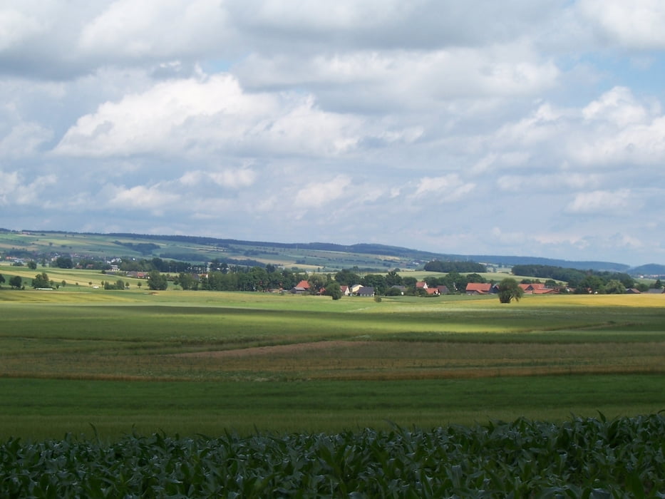 Breitenauer Holz