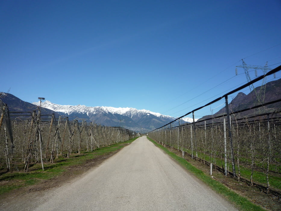 Bozen nach Meran