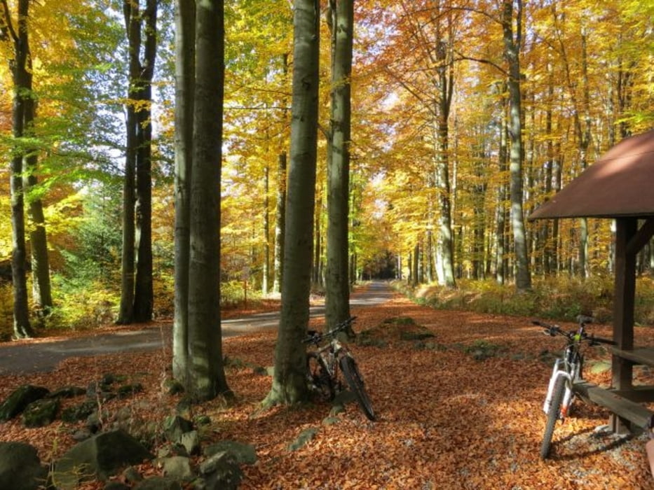 Hassenstein 2012