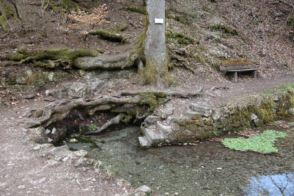 Filsursprung-Schertelshöhle-Bahnhöfle-Neidlinger Wasserfall-Reußenstein-Knaupenfels