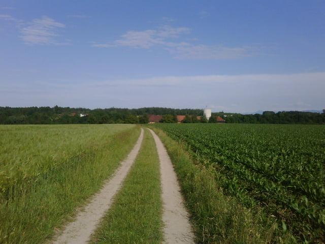 Thalheim Ottstorf Leombach