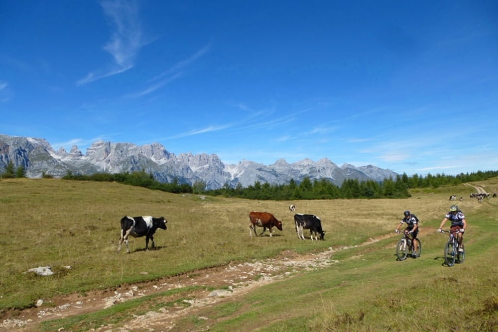 Andalo Monte Gazza