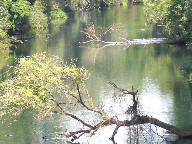 Isar bei Moosburg