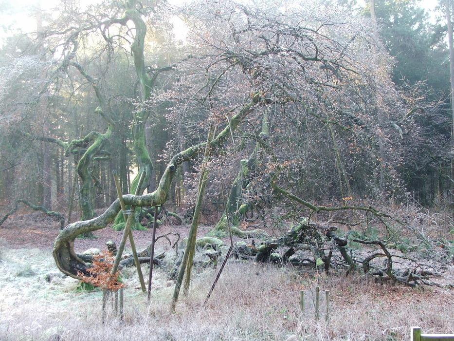 Ruhrgebiet: Hohe Mark (1)