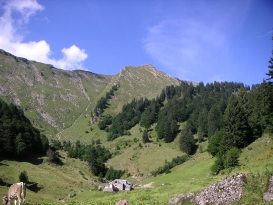 von Amden auf den Speer