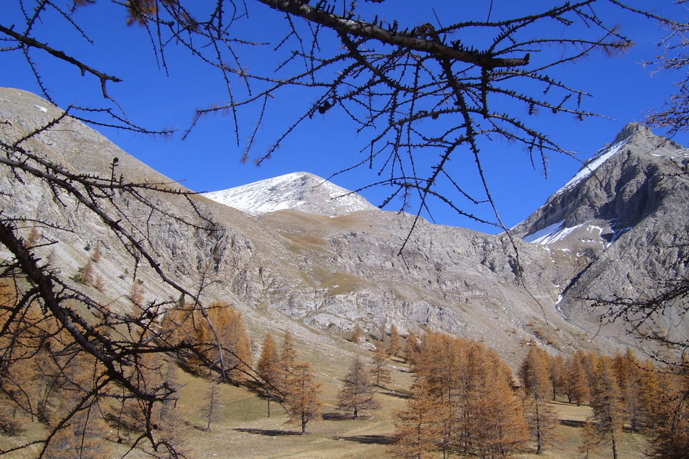 Mont Pelat / Seealpen 