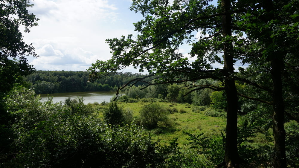 Durch den Dünnwald - Vom Hornpott- zum Höhenfelder See