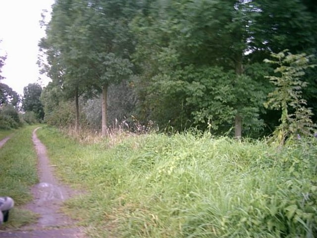Von Haldern Nach Ward und zurück