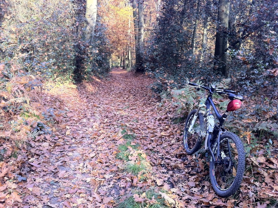 Steve´s Trainingsrunde