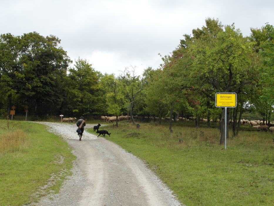 Wildkatzenpfad