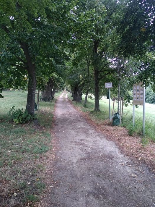 Eisenstadt MTB