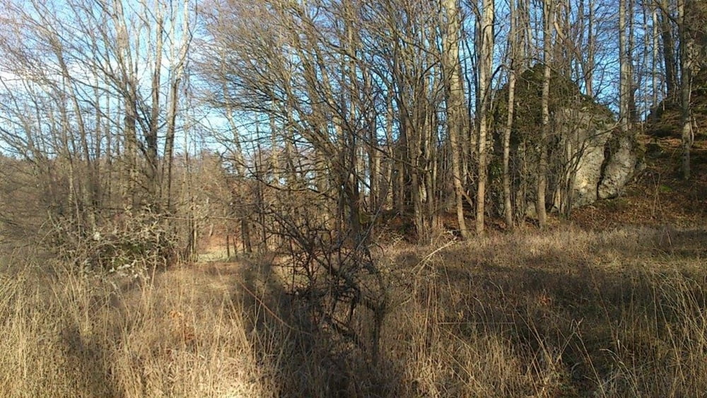 Familienwanderung - kleine Osternoherunde