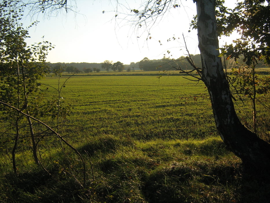 Rötgesbüttel-Leiferde-Maaßel-Rötgesbüttel